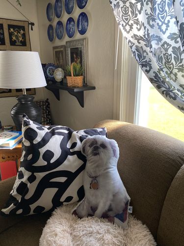 Customer photo review of Create A Custom Dog Pillow