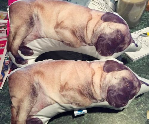 Customer photo review of Create A Custom Dog Pillow