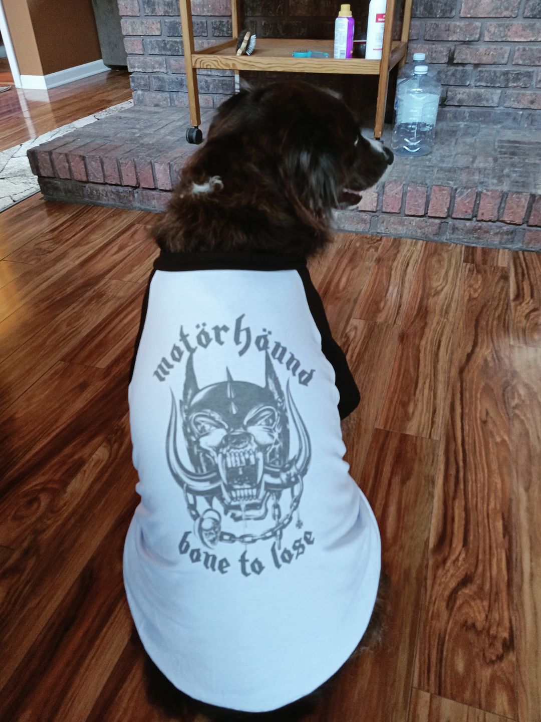 Customer photo review of Motorhound Raglan Dog Tee
