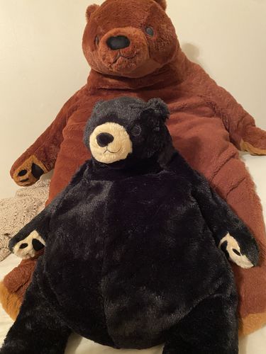 Customer photo review of SKOGGY BEAR
