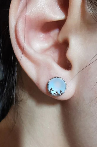 Customer photo review of Aurora Borealis Earrings