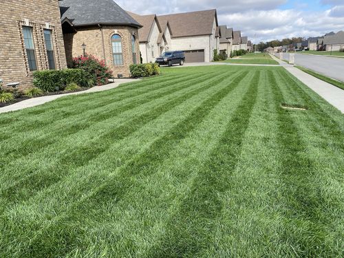 Customer photo review of N-Ext BioStimulant Package