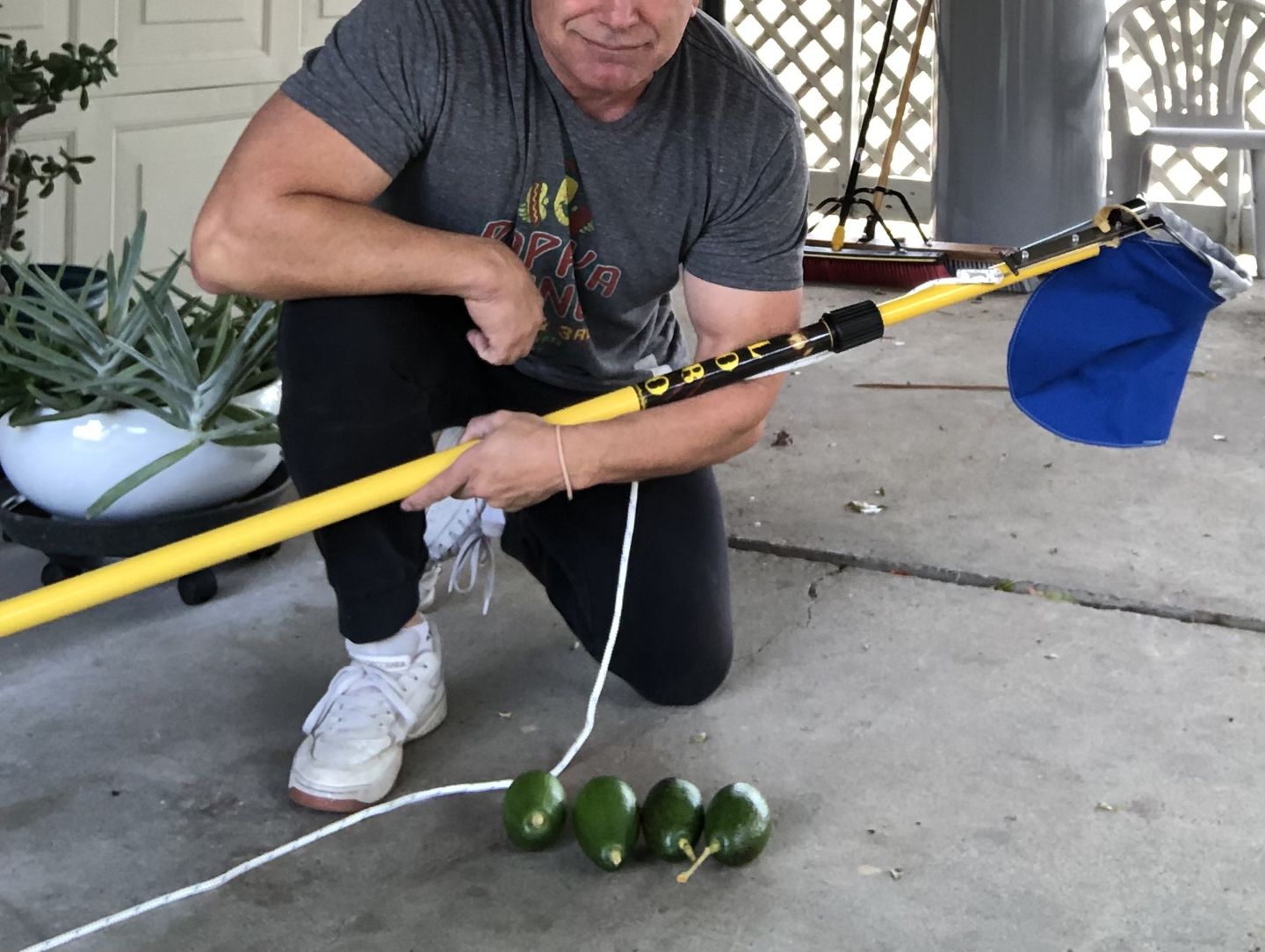Customer photo review of Fruit Picking Pole (Telescoping) |  Fiberglass Pole