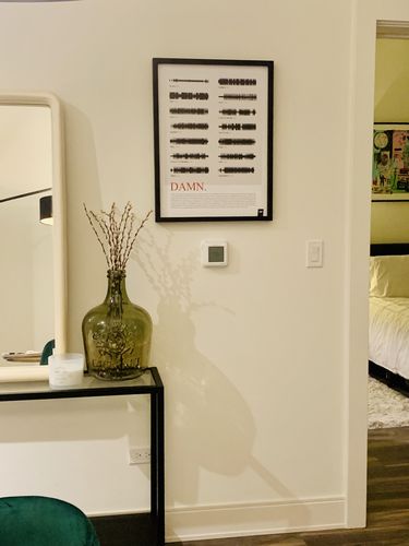 Customer photo review of "DAMN."