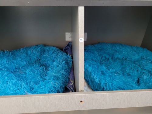 Customer photo review of Comfy Pet Bed Calming High Stretch Soft Faux Fur for Dogs Cats