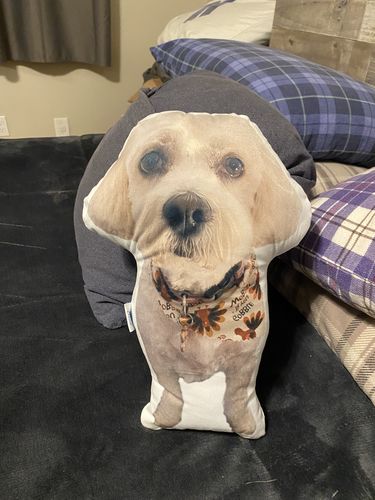 Customer photo review of Create A Custom Dog Pillow