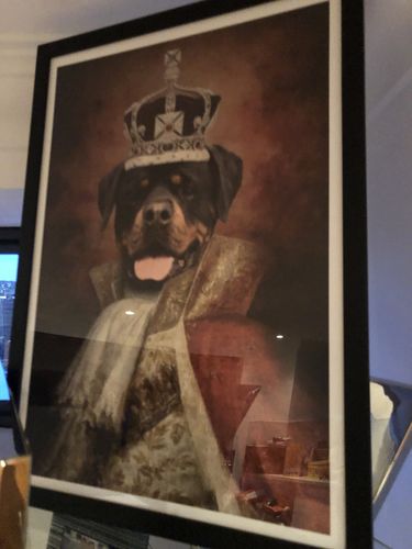 Customer photo review of The King - Custom Vintage Pet Portrait