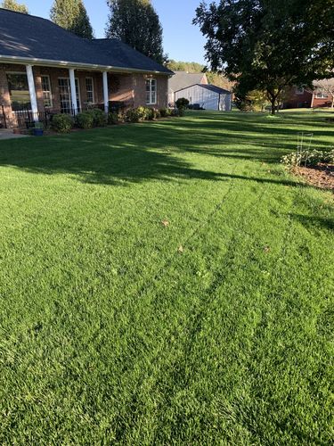 Customer photo review of Protene Performance Winter Fertilizer