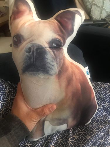 Customer photo review of Create A Custom Dog Pillow