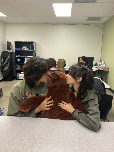 Customer photo review of SKOGGY BEAR