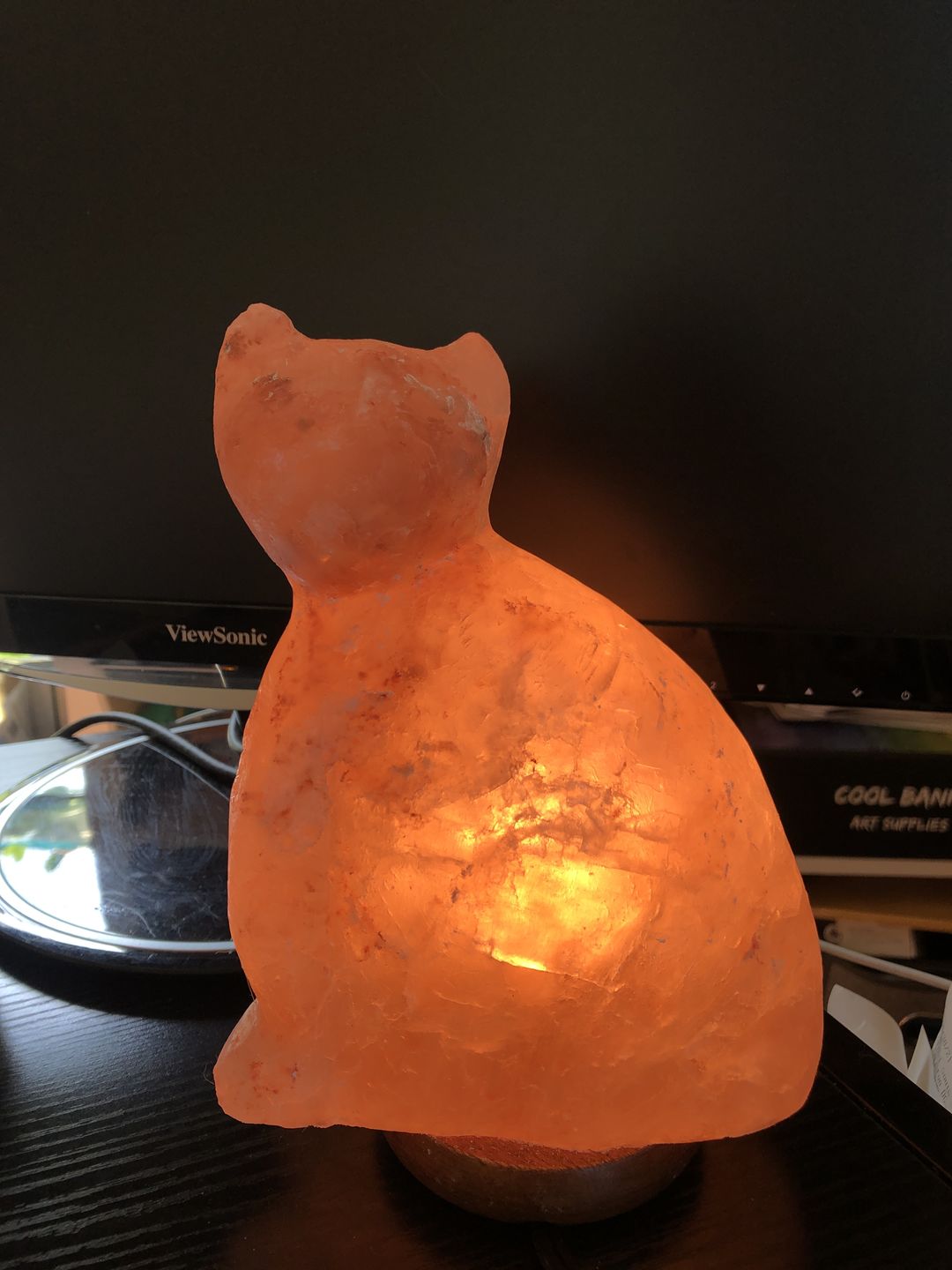 Customer photo review of Purrfect Cat Himalayan Salt Lamp