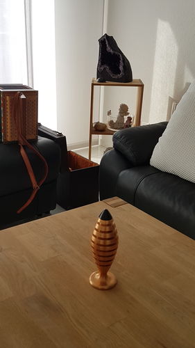 Customer photo review of The Tower harmonei®