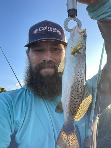 Customer photo review of Salinity