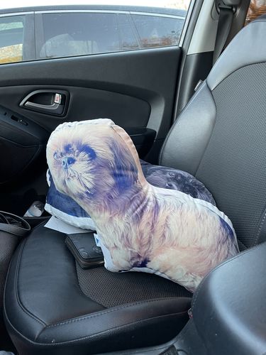 Customer photo review of Create A Custom Dog Pillow