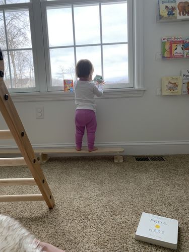Customer photo review of Little Rider