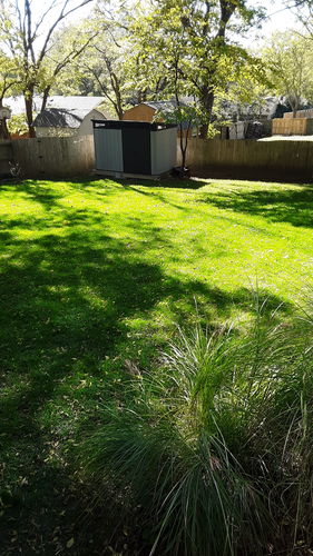 Customer photo review of Protene Performance Fall Fertilizer