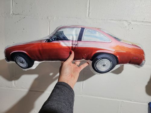 Customer photo review of Create A Custom Car Pillow