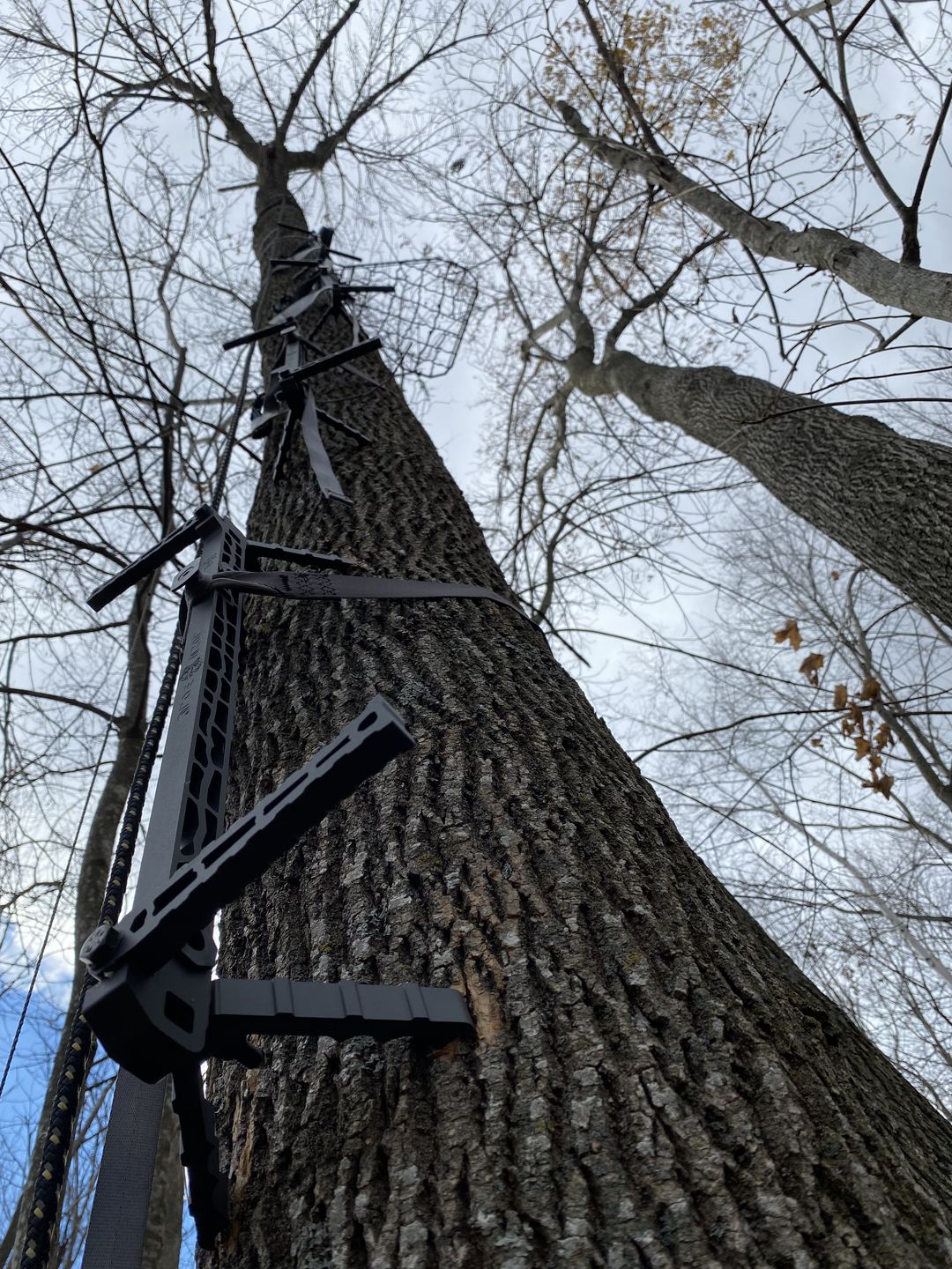 Customer photo review of D'Acquisto Series Hang-On 1.0 / Mobile Hunter ™