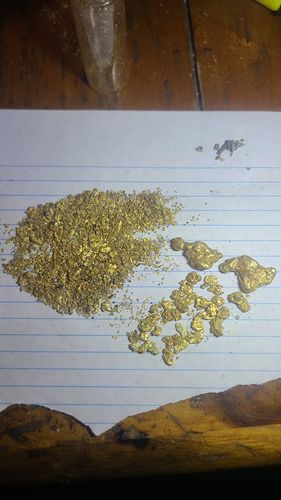 Customer photo review of Nugget Reserve 'MUSEUM SPECIMEN CHASE' - Gold Panning Paydirt
