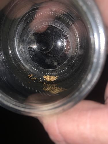 Customer photo review of *BOGO* Gold Diggers Delight '5 OUNCE GOLD CHASE' - Gold Paydirt Panning Concentrates