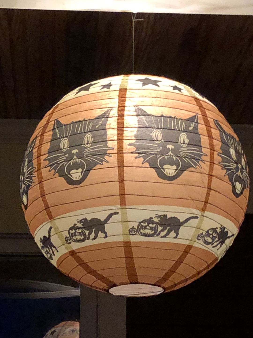 Customer photo review of 3-Pack Kit w/ Remote Control Warm White 12-LED Omni360 Omni-Directional Lantern Light, Hanging / Table Top (Battery Powered)