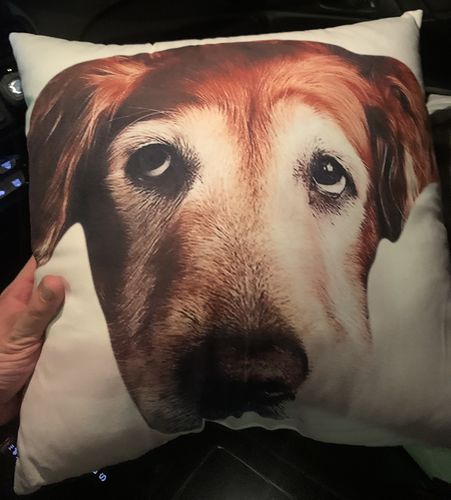 Customer photo review of Create A Custom Dog Pillow