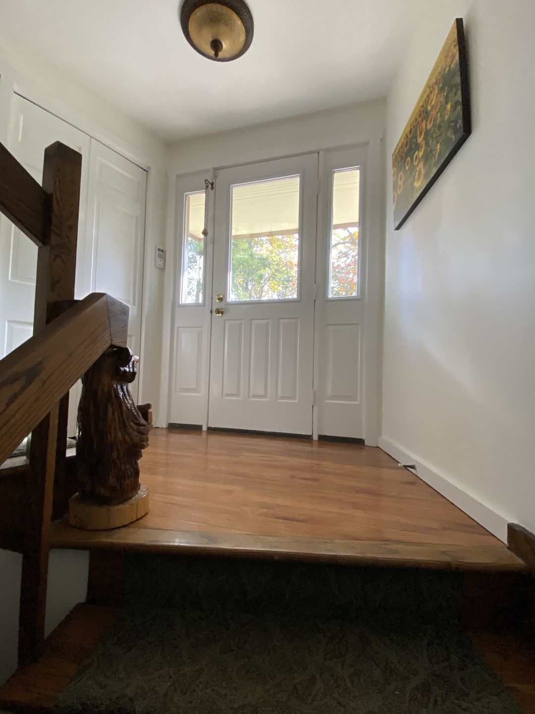 Customer photo review of Clear 1 Lite Glass and Frame Kit (Half Sidelite 8" x 36" Glass Size)