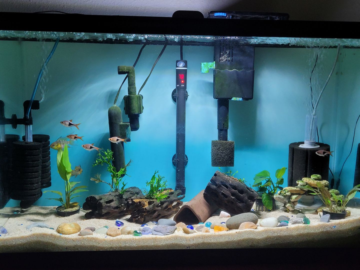 Customer photo review of FritzZyme 7 Freshwater Live Bacteria