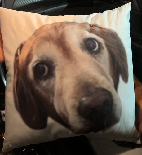 Customer photo review of Create A Custom Dog Pillow