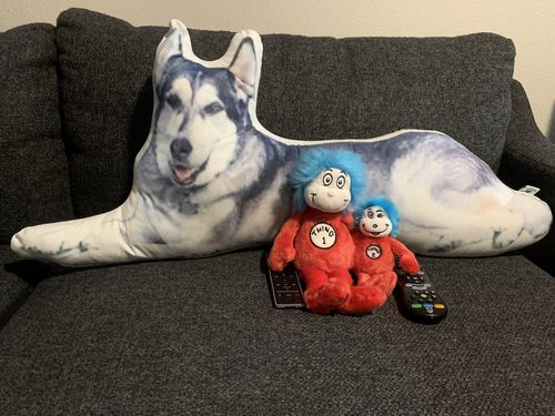 Customer photo review of Create A Custom Dog Pillow