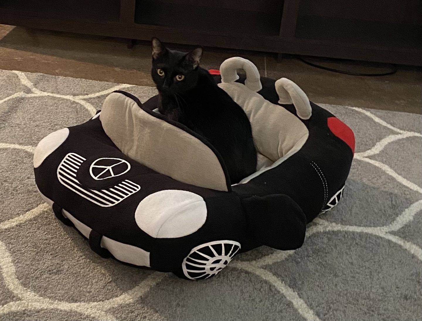 Customer photo review of Furcedes Sports Car Bed