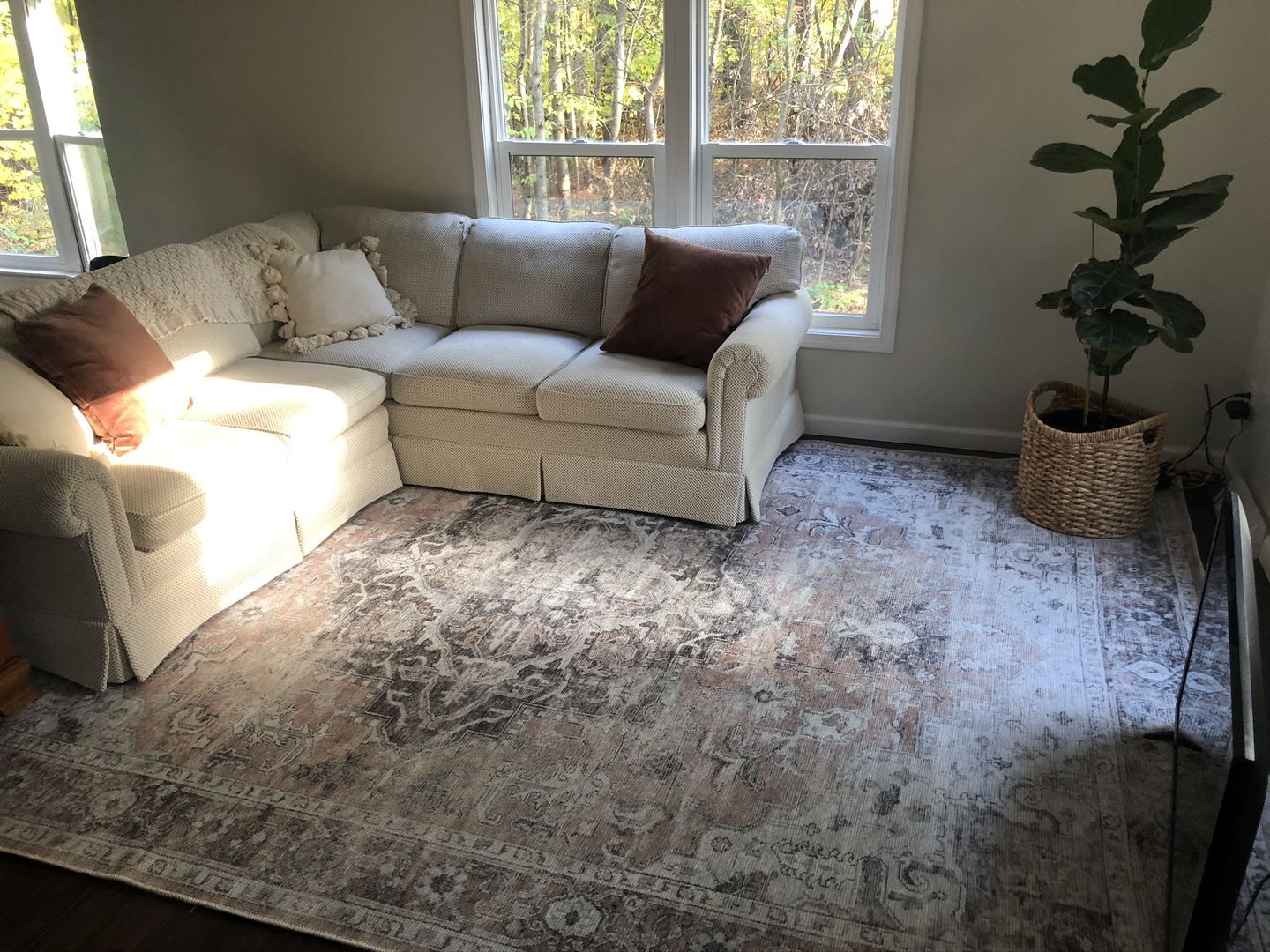 Customer photo review of Distressed Vintage Cezanne Blush Area Rug