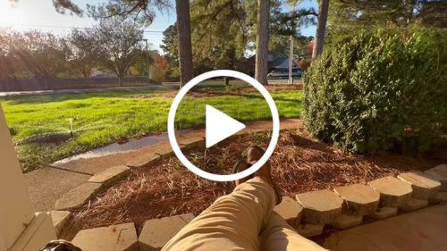 Customer video review of GCI Turf Type Tall fescue Grass Seed