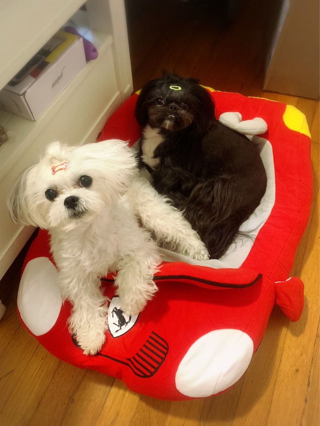 Customer photo review of Furcedes Sports Car Bed