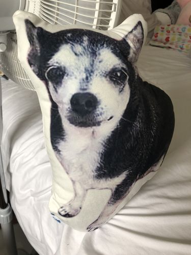 Customer photo review of Create A Custom Dog Pillow