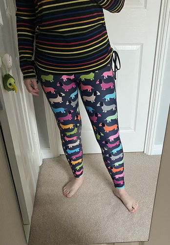 lularoe dachshund