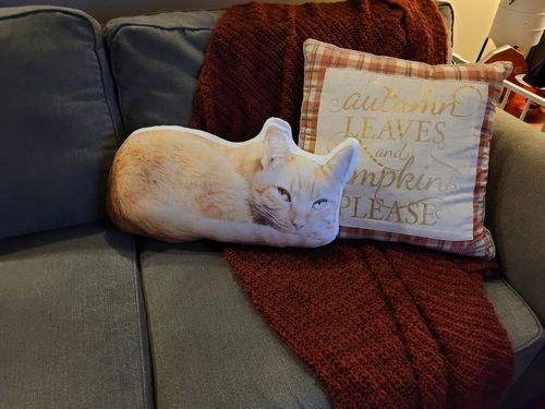 Customer photo review of Create A Custom Cat Pillow