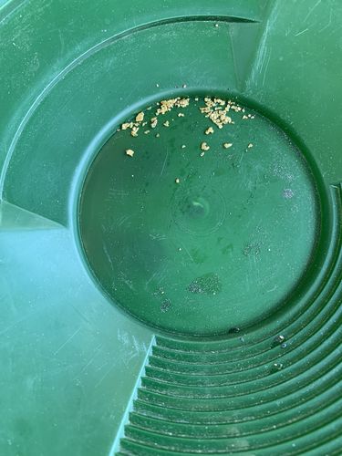 Customer photo review of 5-XL 'NUGGET RESERVE ELITE™' 5x the Nuggets Unsearched