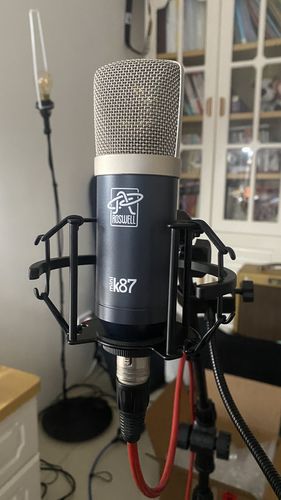 Customer photo review of Mini K87 Condenser Microphone
