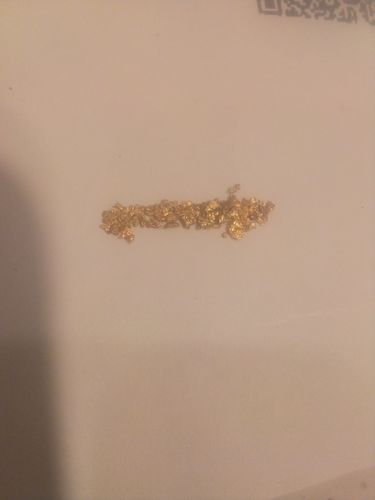 Customer photo review of 2 Lb. Rich Gold Paydirt Unsearched Concentrate