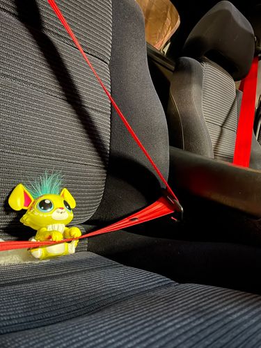 Customer photo review of Seat Belt Restore/Retrofits