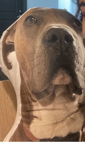Customer photo review of Create A Custom Dog Pillow