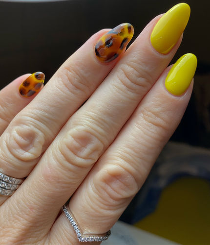 Customer photo review of Bluesky 80538 Faur Fux