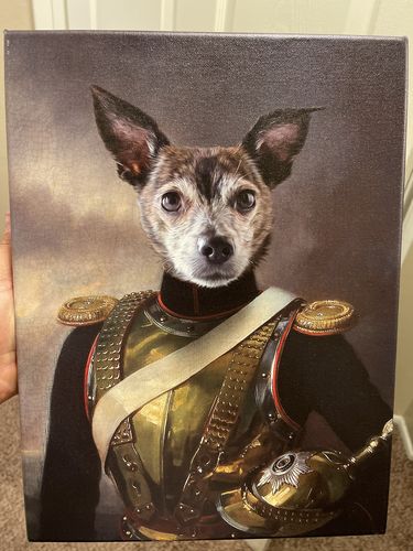 Customer photo review of The Captain – Custom Vintage Pet Canvas