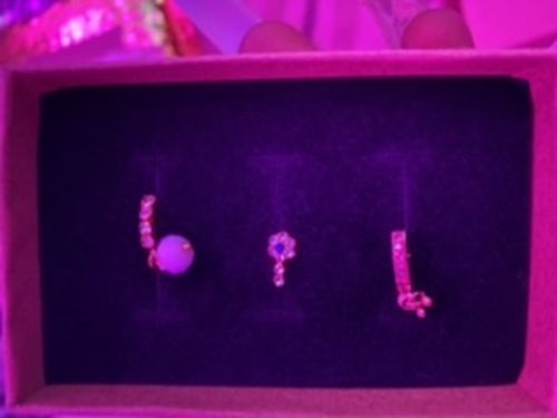 Customer photo review of Branae Nose Hoop