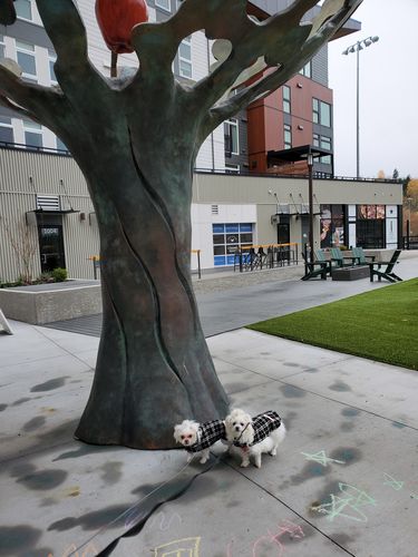 Customer photo review of Let's Go Brandon Men's Apparel