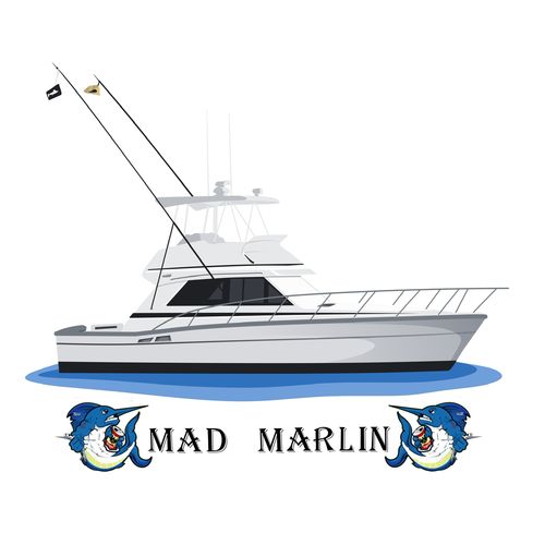 Customer photo review of Custom Digital Boat Portrait