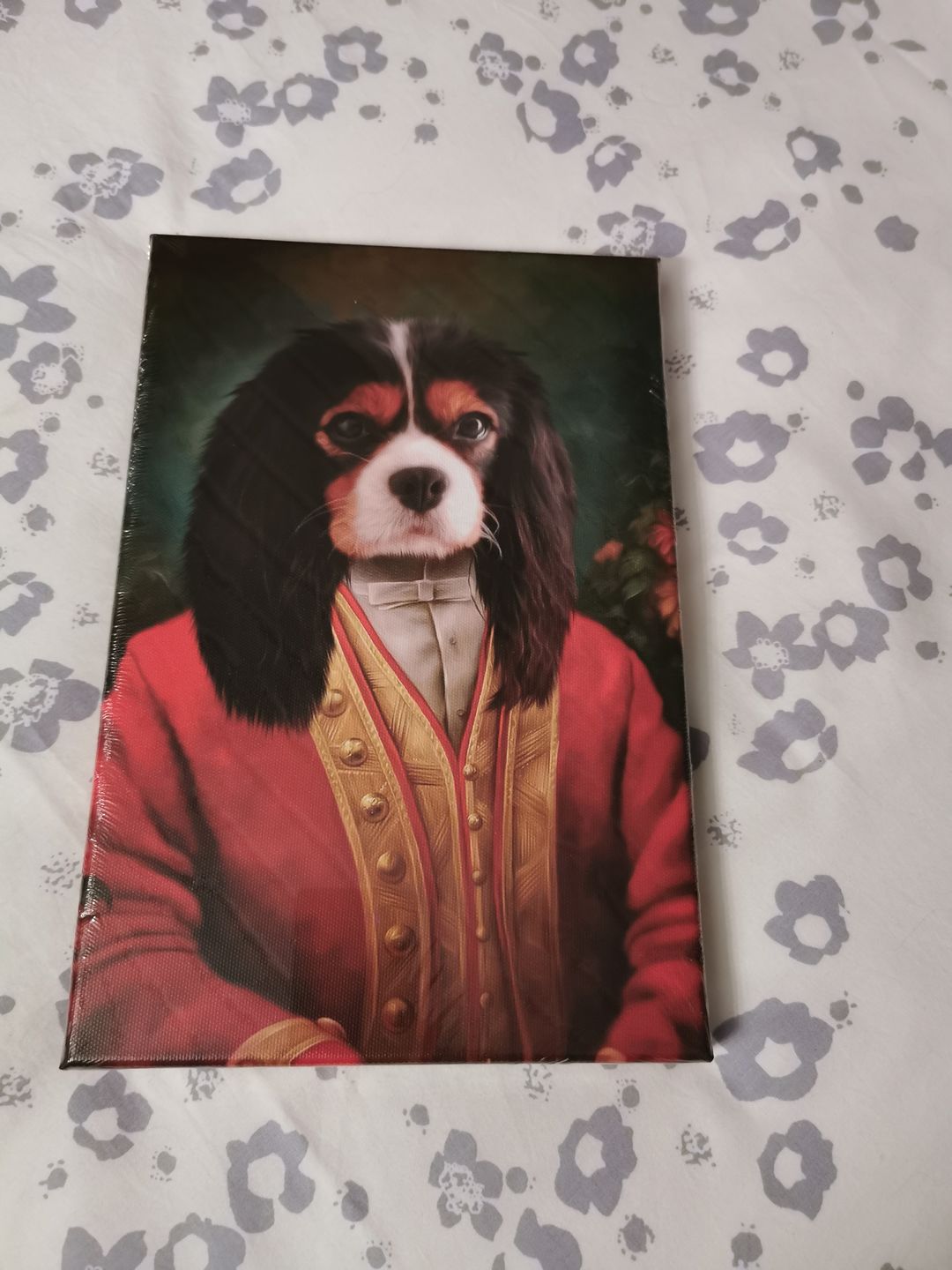 Customer photo review of Roméo