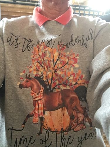 Customer photo review of Fall season Arabian Horse print sweatshirt design - IPH703