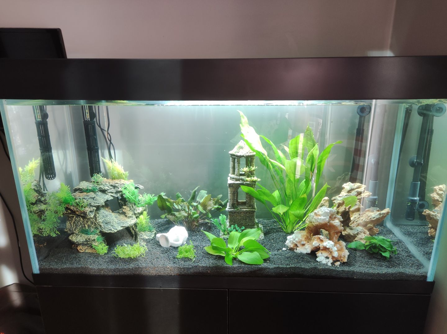 Customer photo review of Aquarium Opti Set 200 Noir AQUAEL - 200L